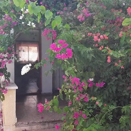 Karystos House 度假居